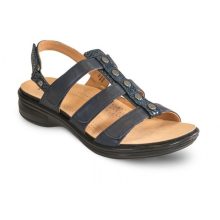 Toledo Navy Wide