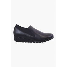 Lavender 4 463 9160 1567 1