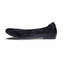 Nairobi 10 nairobi black lizard profile 2 2 1