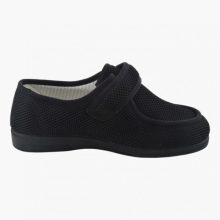 s341352951268462612 p359 i7 w640 1